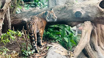 神戸どうぶつ王国に投稿された画像（2022/11/1）