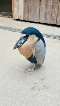 神戸どうぶつ王国に投稿された画像（2022/11/1）