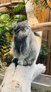 神戸どうぶつ王国に投稿された画像（2022/11/1）