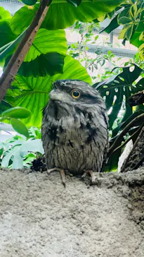 神戸どうぶつ王国に投稿された画像（2022/11/1）