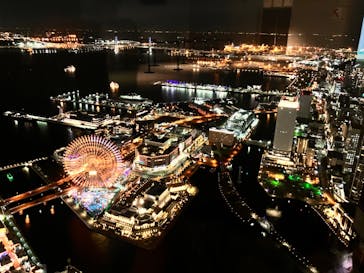 横浜ランドマークタワー 69階展望フロア スカイガーデンに投稿された画像（2022/11/1）