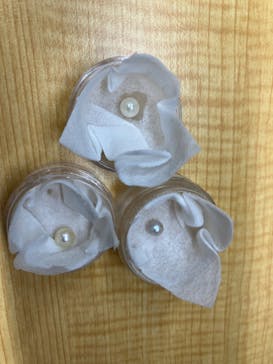 三重県真珠に投稿された画像（2022/11/1）