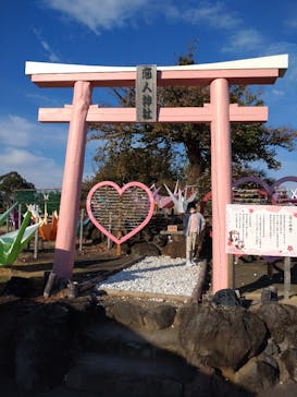 伊豆ぐらんぱる公園に投稿された画像（2022/11/1）