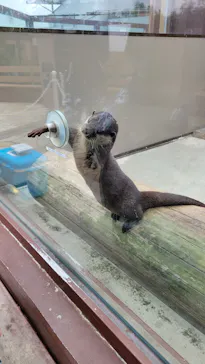 横浜・八景島シーパラダイスに投稿された画像（2022/11/1）