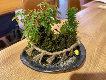 伊勢夫婦岩めおと横丁　めおと岩アクティビティに投稿された画像（2022/11/2）