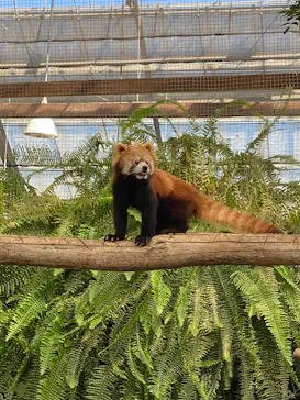 神戸どうぶつ王国に投稿された画像（2022/11/2）