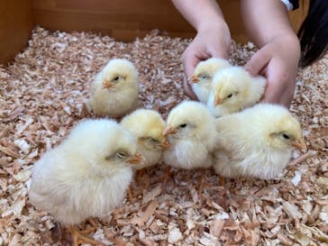 東武動物公園に投稿された画像（2022/11/2）