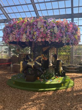 京成バラ園に投稿された画像（2022/11/2）