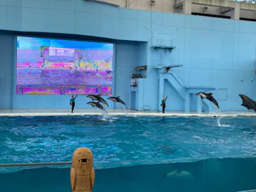 横浜・八景島シーパラダイスに投稿された画像（2022/11/2）