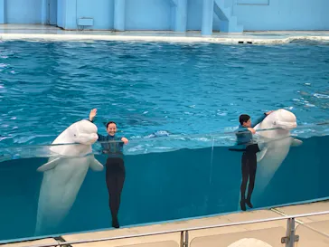 横浜・八景島シーパラダイスに投稿された画像（2022/11/2）