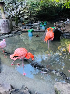 伊豆シャボテン動物公園に投稿された画像（2022/10/31）