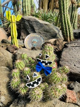 伊豆シャボテン動物公園に投稿された画像（2022/10/31）