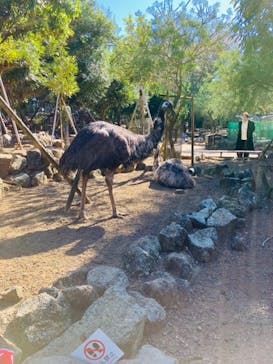 伊豆シャボテン動物公園に投稿された画像（2022/10/31）