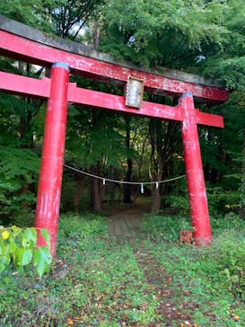 A　DAYに投稿された画像（2022/11/2）