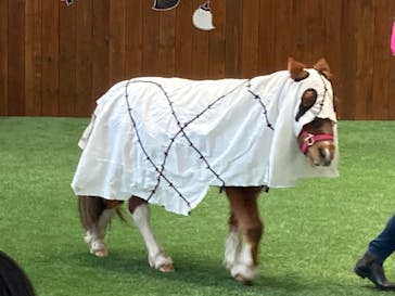 ノーザンホースパークに投稿された画像（2022/11/2）