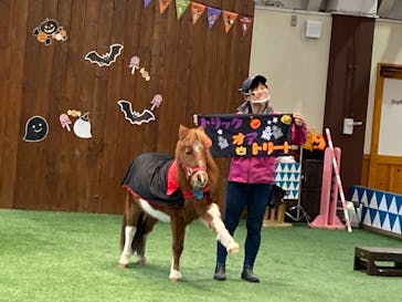 ノーザンホースパークに投稿された画像（2022/11/2）