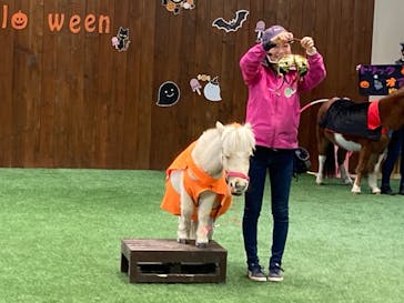 ノーザンホースパークに投稿された画像（2022/11/2）