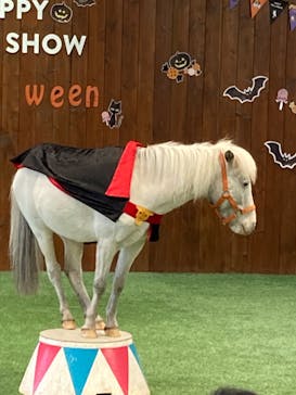 ノーザンホースパークに投稿された画像（2022/11/2）