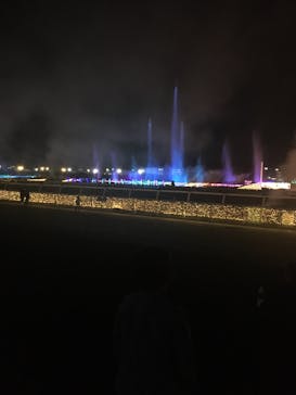 東京メガイルミに投稿された画像（2022/11/2）