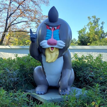 西武園ゆうえんちに投稿された画像（2022/11/2）