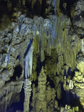 あぶくま洞に投稿された画像（2022/11/2）