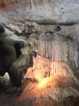 あぶくま洞に投稿された画像（2022/11/2）