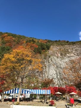 あぶくま洞に投稿された画像（2022/11/2）