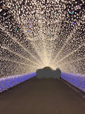 なばなの里に投稿された画像（2022/11/2）