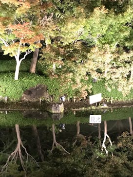 なばなの里に投稿された画像（2022/11/2）