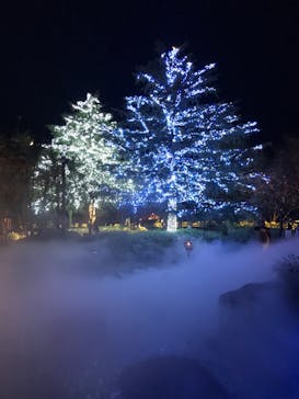 なばなの里に投稿された画像（2022/11/2）