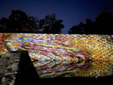 NAKED FLOWERS 2022 秋 世界遺産・二条城に投稿された画像（2022/11/2）