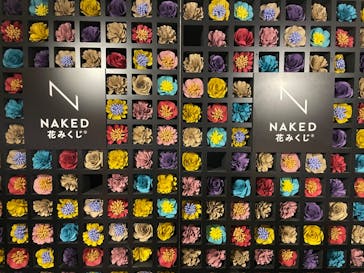 NAKED FLOWERS 2022 秋 世界遺産・二条城に投稿された画像（2022/11/2）