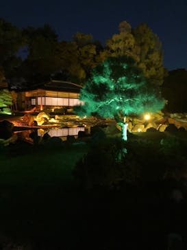 NAKED FLOWERS 2022 秋 世界遺産・二条城に投稿された画像（2022/11/2）