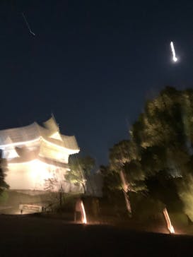 NAKED FLOWERS 2022 秋 世界遺産・二条城に投稿された画像（2022/11/2）