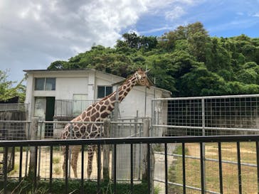 沖縄こどもの国に投稿された画像（2022/9/25）