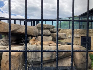 沖縄こどもの国に投稿された画像（2022/9/25）