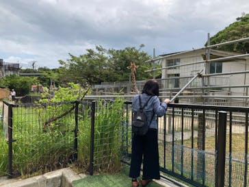 沖縄こどもの国に投稿された画像（2022/9/25）