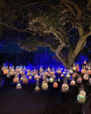 江の島シーキャンドルに投稿された画像（2022/11/2）