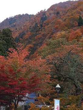 清津峡渓谷トンネルに投稿された画像（2022/11/2）