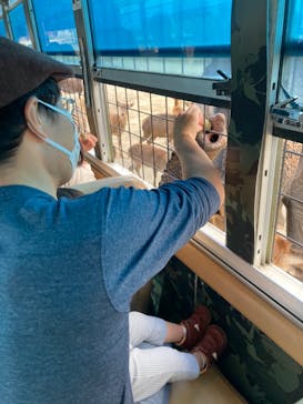 那須サファリパークに投稿された画像（2022/11/2）