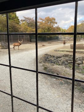 那須サファリパークに投稿された画像（2022/11/2）