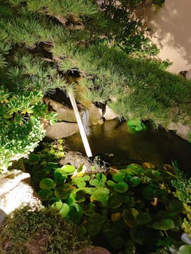 阿字ヶ浦温泉 のぞみに投稿された画像（2022/11/2）