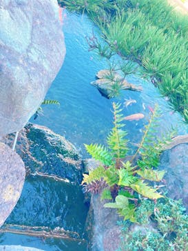 阿字ヶ浦温泉 のぞみに投稿された画像（2022/11/2）