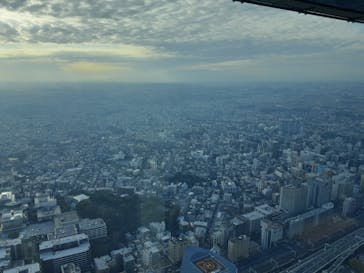 横浜ランドマークタワー 69階展望フロア スカイガーデンに投稿された画像（2022/11/2）