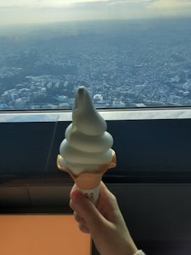 横浜ランドマークタワー 69階展望フロア スカイガーデンに投稿された画像（2022/11/2）