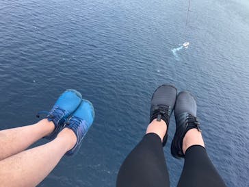 Sea World（シーワールド）に投稿された画像（2022/11/2）