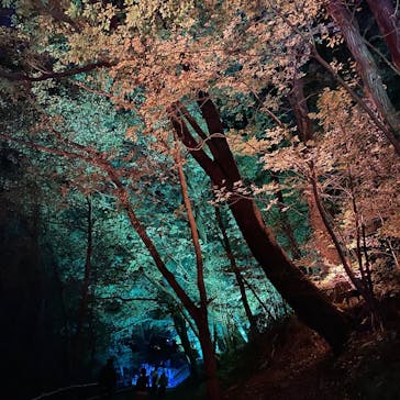 ムーミンバレーパークに投稿された画像（2022/11/2）