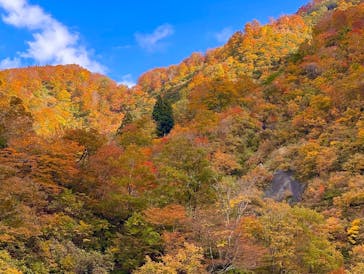 清津峡渓谷トンネルに投稿された画像（2022/11/2）