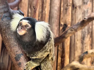 神戸どうぶつ王国に投稿された画像（2022/11/2）