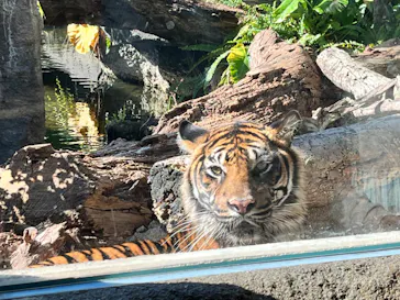 神戸どうぶつ王国に投稿された画像（2022/11/2）